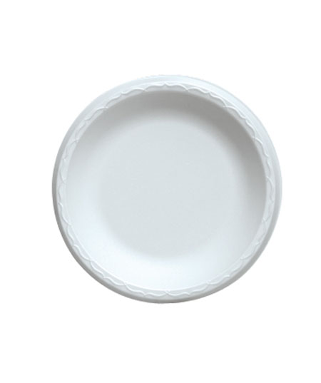 FOAM PLATES